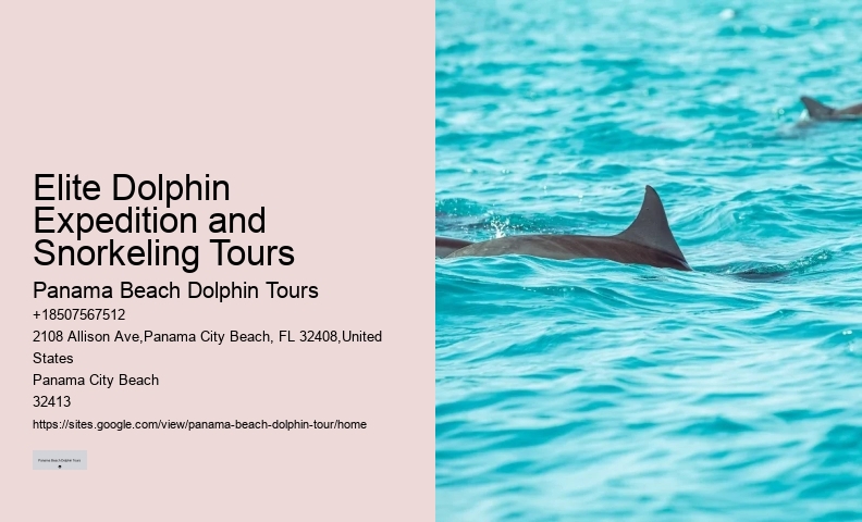 Passage Key Dolphin Tours