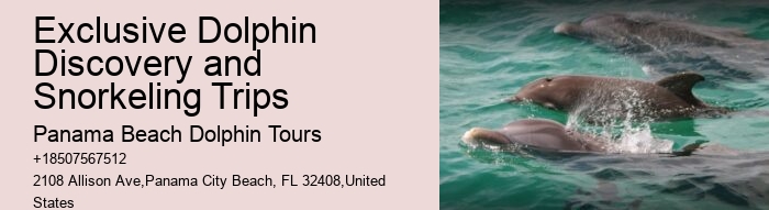 Why Can't You Swim With Dolphins On Your Period