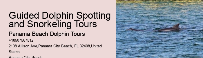 Panama City Beach Dolphin Tours & More Panama City Fl