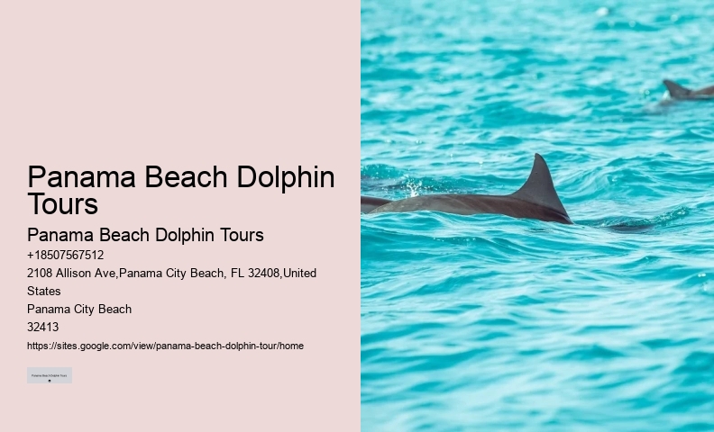 Best Dolphin Cruise Panama City Beach
