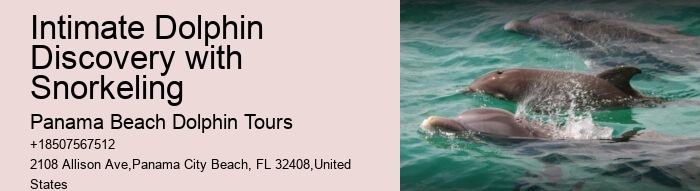 Split Personalized Dolphin And Snorkeling Charters
