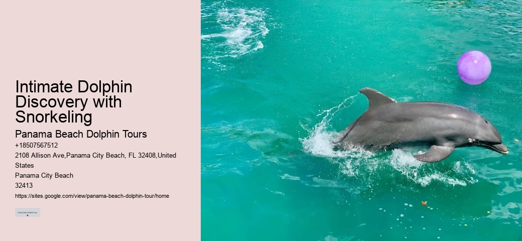 Feeding Or Harassing Marine Mammals In The Wild