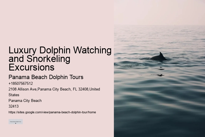 Split Expert-led Dolphin And Snorkeling Tours