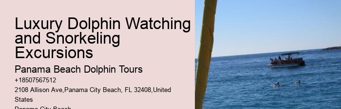 Rudee Flipper Dolphin Tours Virginia Beach