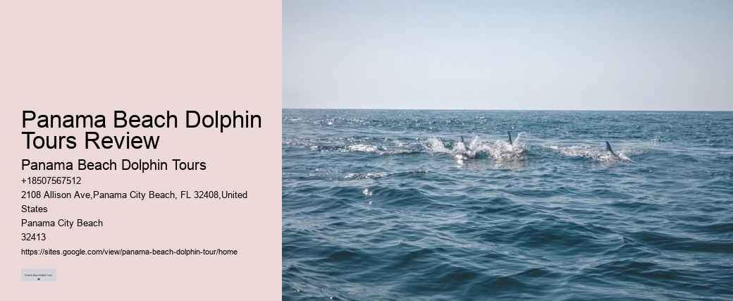With Dolphins