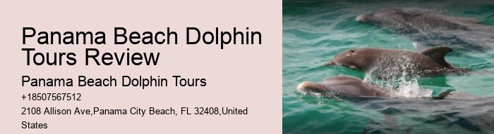 Panama Beach Dolphin Tours Panama City Beach Fl