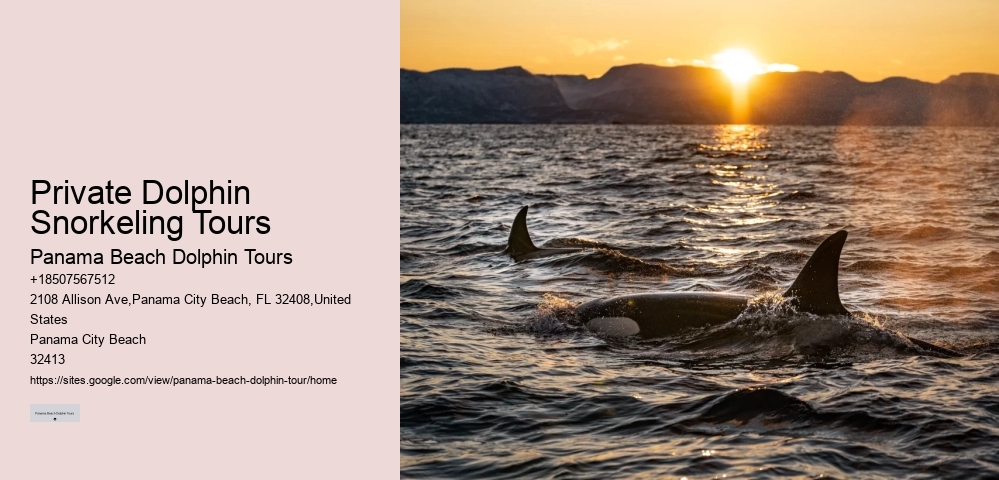Panama City Beach Boat Tours