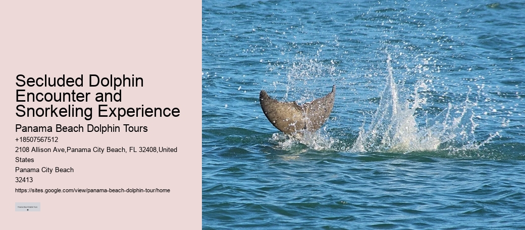 All About Bottlenose Dolphins - Birth & Care Of Young