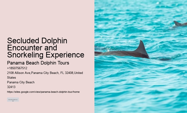 Dolphin Tours Tarpon Springs