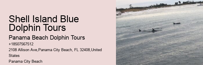 Panama City Beach Dolphin Adventure Trips