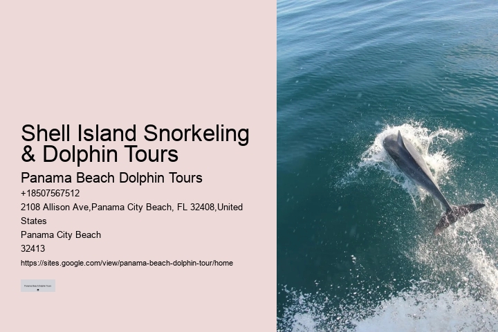 Panama City Beach dolphin watching voyages