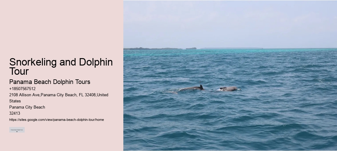 Snorkeling and Dolphin Tour