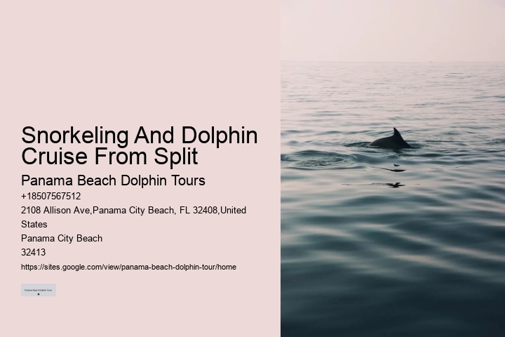 Panama City Dolphin