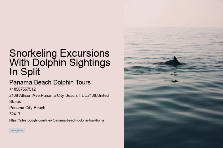 Panama City Beach Dolphin Sightseeing Trips