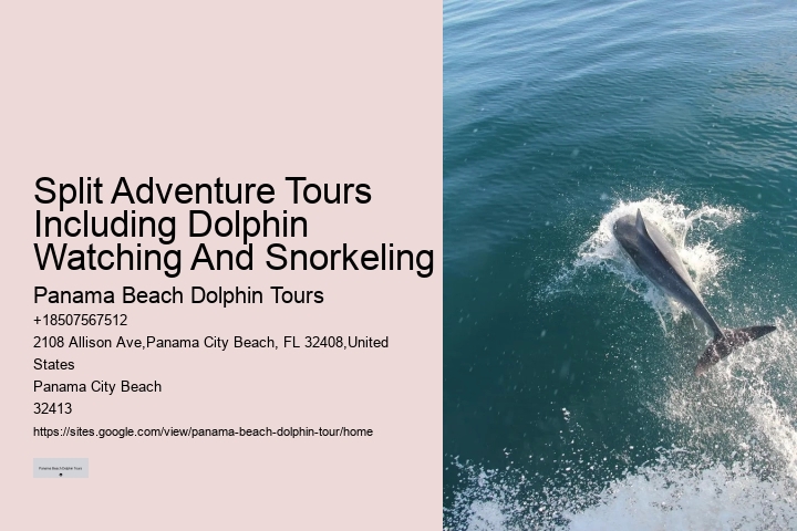 Why Is It Good To Swim With Dolphins When Pregnant