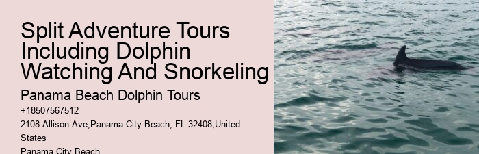 Panama City Beach Dolphin Tours Panama City Beach