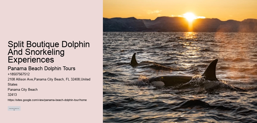 Panama City Beach Dolphin Sunset Cruise