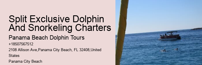 Can I swim with dolphins on a tour in Panama City Beach
