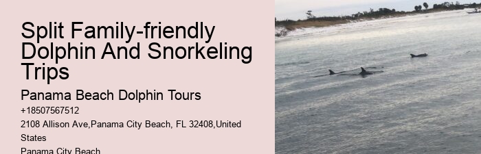 Panama Beach Dolphin Tours