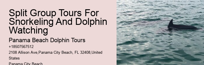 Are there any discounts available for group bookings on dolphin tours in Panama City Beach