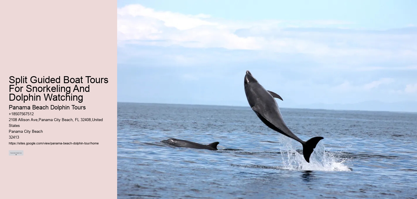Are there any age restrictions for dolphin tours in Panama City Beach