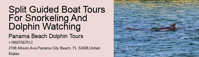 Can I book a private dolphin tour in Panama City Beach