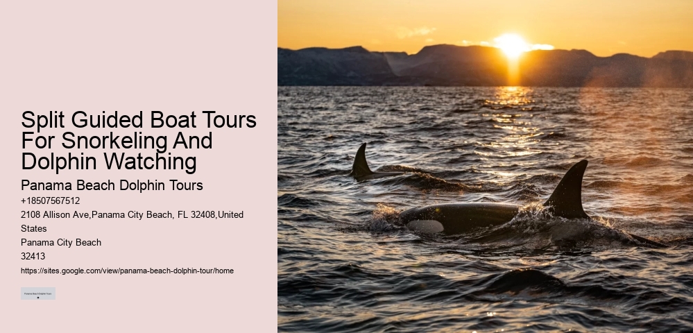 Dolphins Have Highly Sensitive Skin