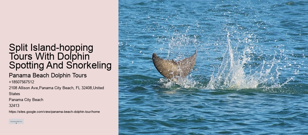 Snorkeling And Dolphin Charters In Split