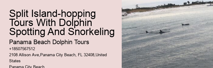 Split Luxury Dolphin And Snorkeling Excursions