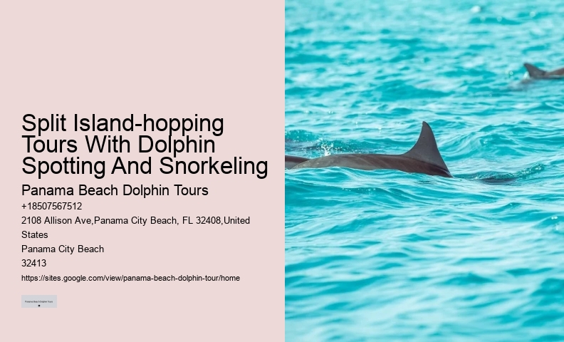 Top Dolphin Tour