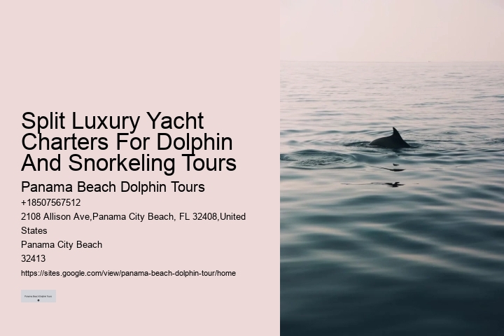 Dolphin Tours 30a