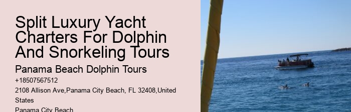 Split Adrenaline-pumping Dolphin And Snorkeling Adventures