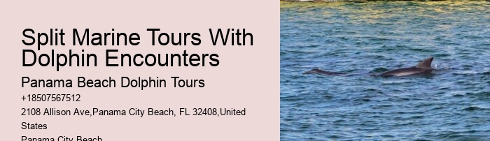 Boat Tours