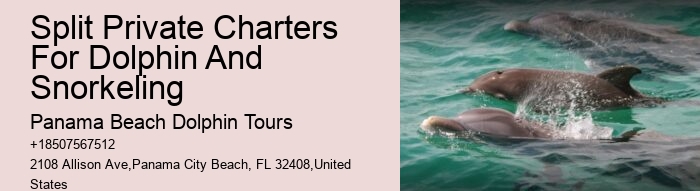 Blue Dolphin Tours Panama City Beach