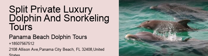 Split Customized Snorkeling And Dolphin Itineraries