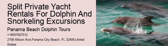 Panama City Beach dolphin viewing tours