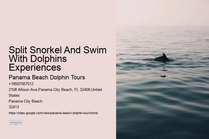 What Does It Mean When Dolphins Come Close To Shore