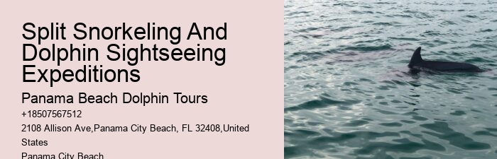 Panama City Beach Dolphin Cruises