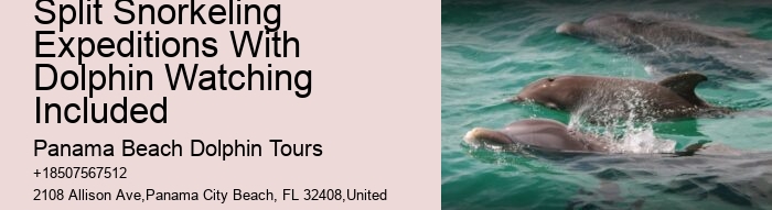 Split Off-the-grid Dolphin And Snorkeling Excursions