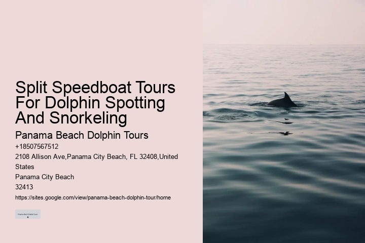 What Not To Do With Dolphins