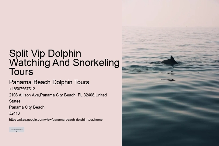 Top 5 Places To Swim With Dolphins