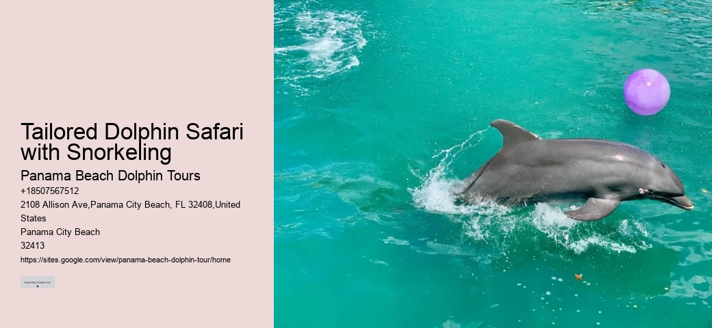 Dolphin Excursion