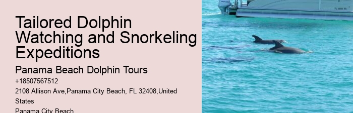 Dolphin Sightseeing Tours