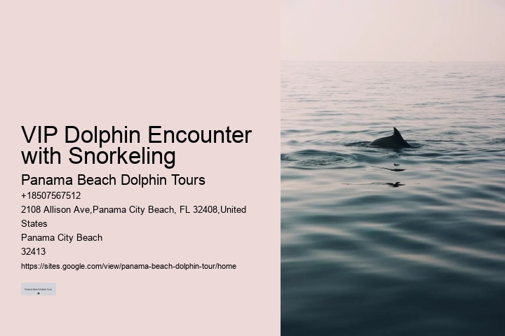 Dolphin sightseeing in Panama City Beach