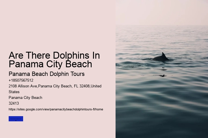 Shell Island Trips & Dolphin Tours