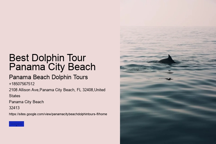 Best Dolphin Tour Panama City Beach