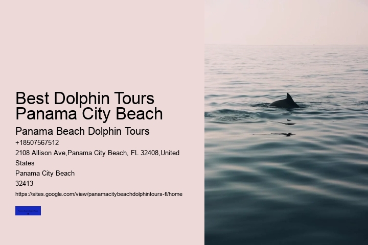 Panama City Beach Dolphin Sunset Cruise