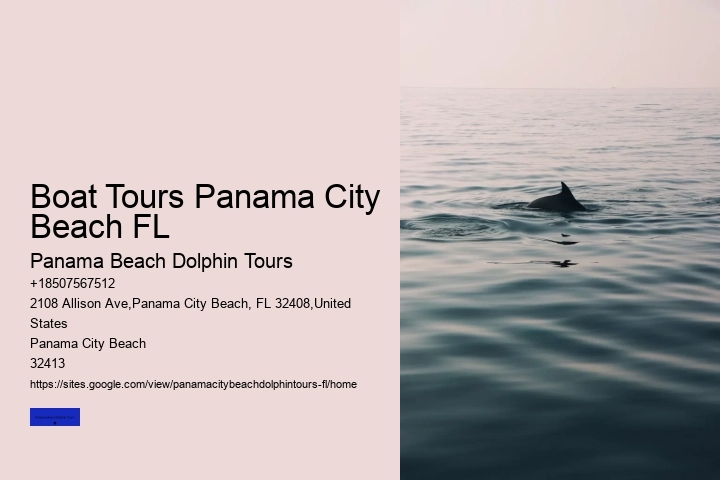 Swim With Panama City Resident Pod Of Wild Bottle-nosed Dolphins