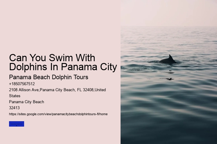 Dolphin Tours