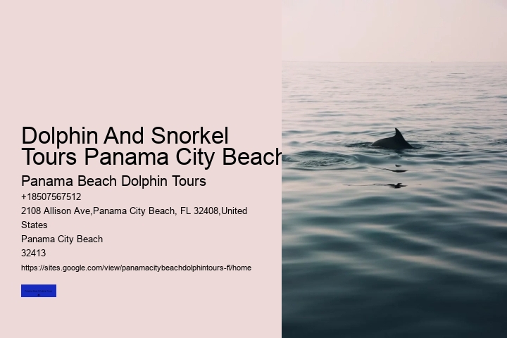 Dolphin And Snorkel Tours Panama City Beach
